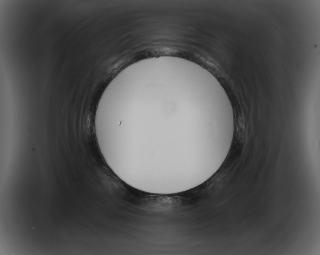 X0000082980330200703020302