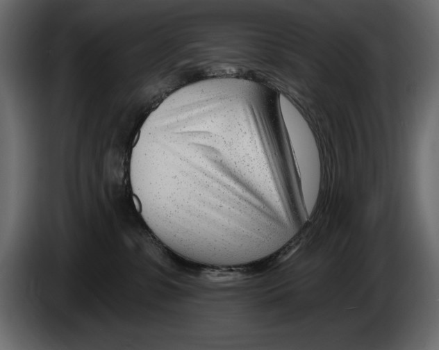 X0000082980331200703020302