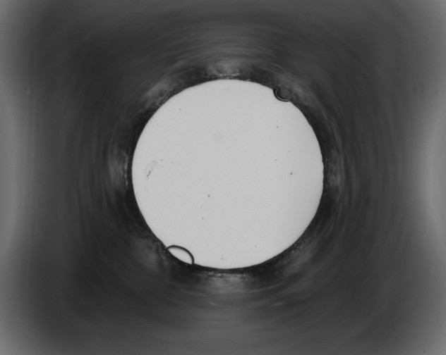 X0000082980332200703020302