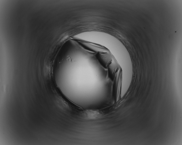 X0000082980333200703020302