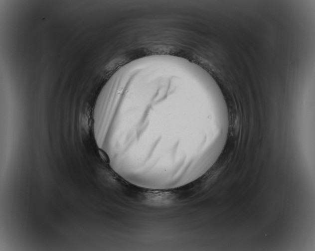 X0000082980334200703020302