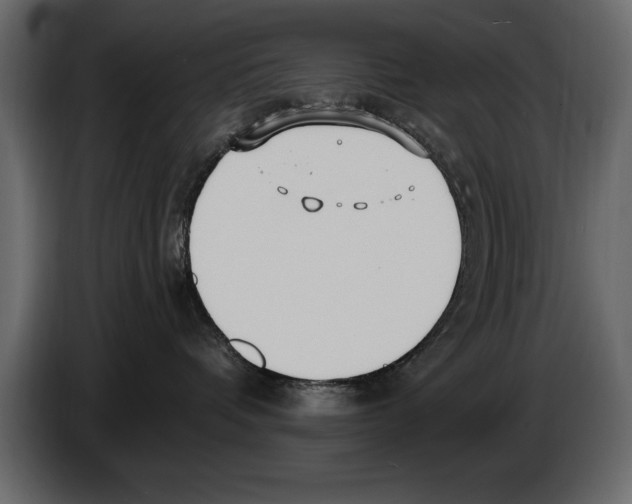 X0000082980336200703020302