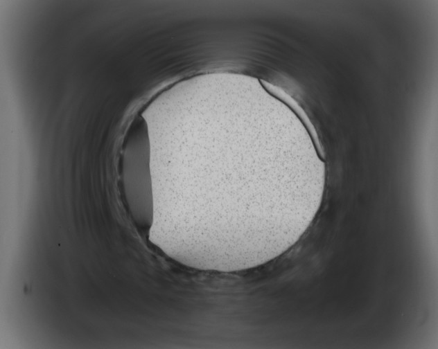 X0000082980337200703020301