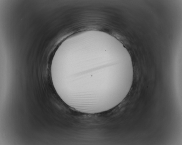 X0000082980338200703020301