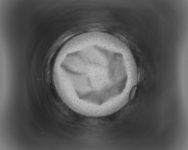 X0000082980339200703020301