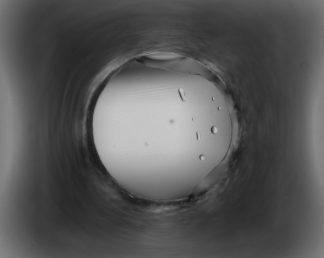 X0000082980340200703020301