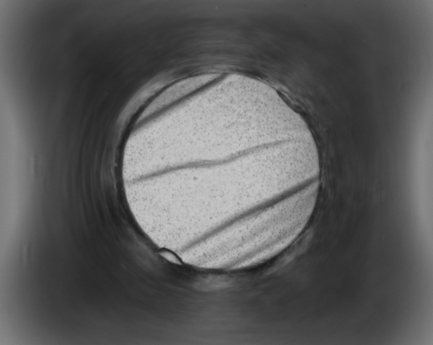 X0000082980341200703020301