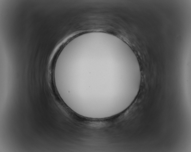 X0000082980342200703020301