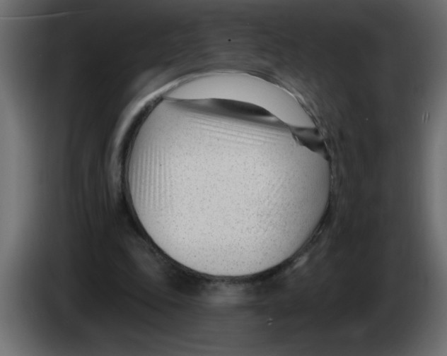 X0000082980343200703020301