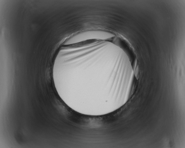 X0000082980345200703020301