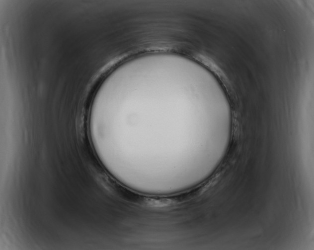 X0000082980346200703020301