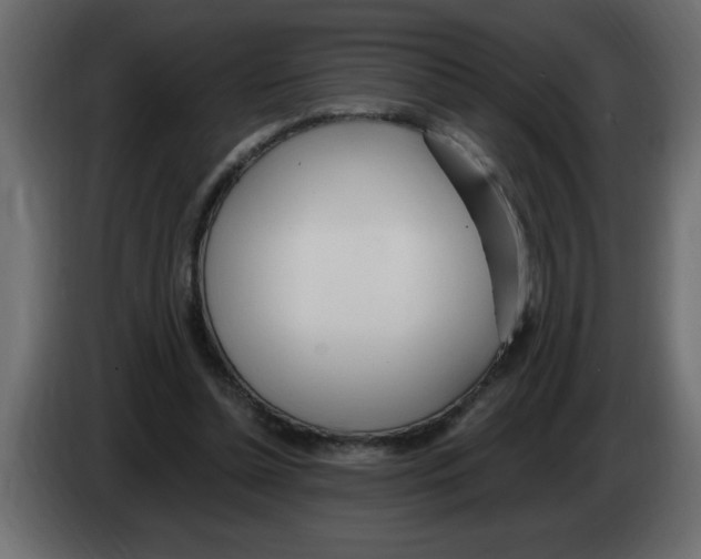 X0000082980348200703020302