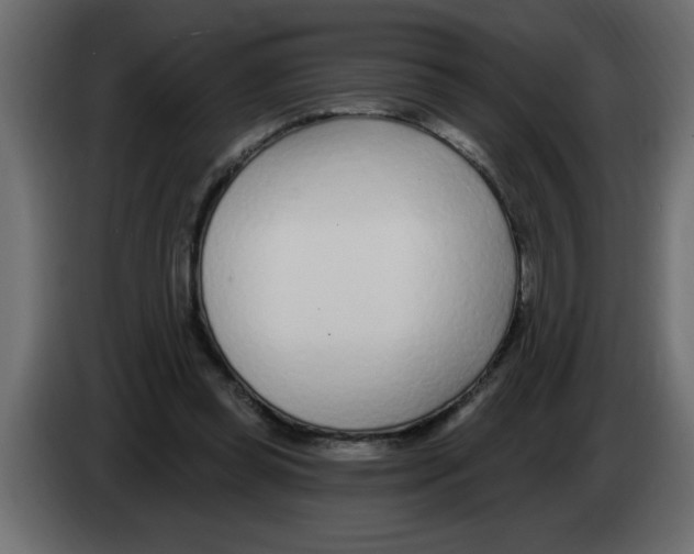 X0000082980349200703020302