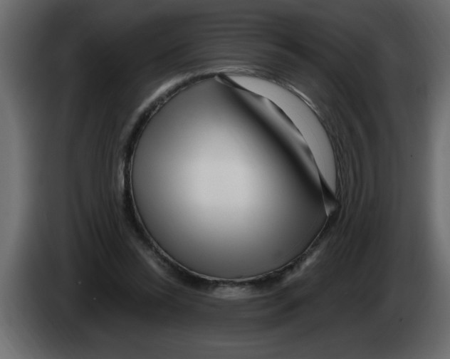 X0000082980350200703020302