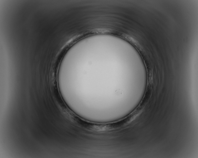 X0000082980351200703020302