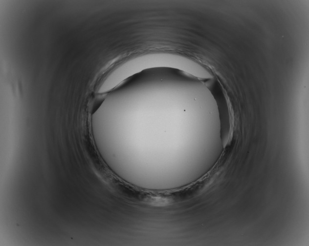 X0000082980352200703020302