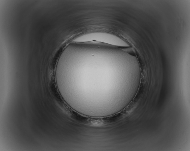 X0000082980355200703020302