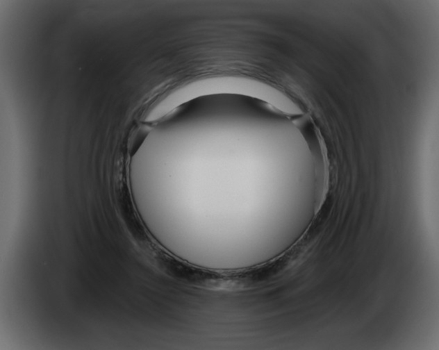 X0000082980356200703020302