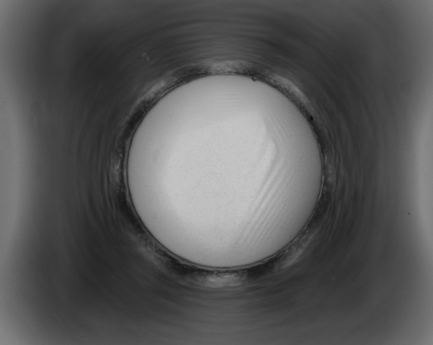 X0000082980357200703020302