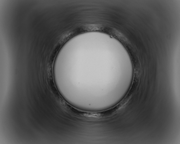 X0000082980359200703020302