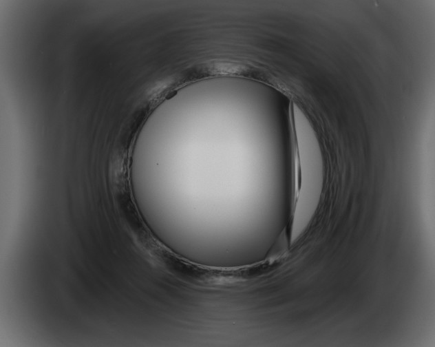 X0000082980360200703020302