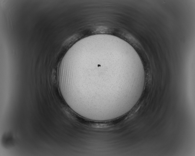 X0000082980361200703020302