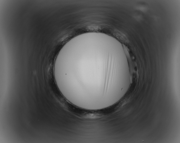 X0000082980364200703020302