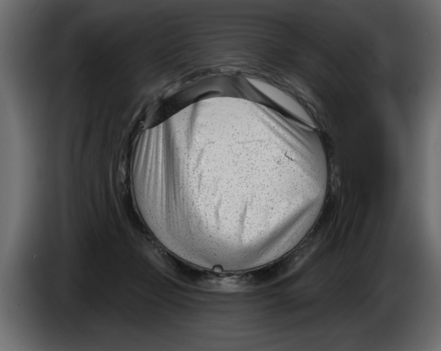 X0000082980365200703020302