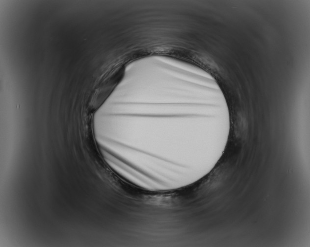 X0000082980366200703020302