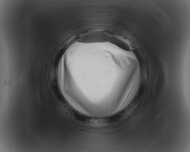 X0000082980367200703020302