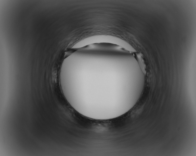 X0000082980368200703020302