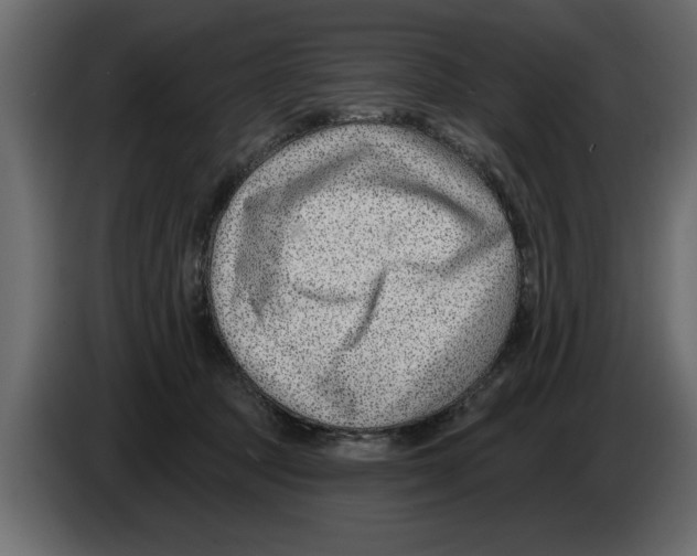 X0000082980369200703020302