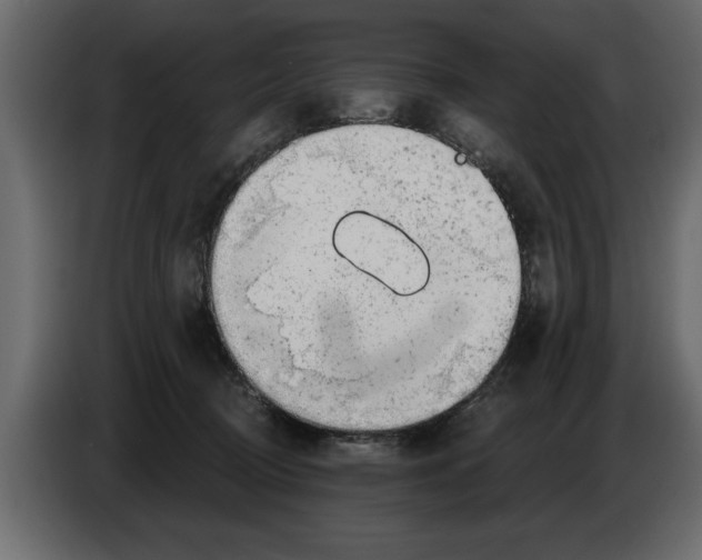 X0000082980370200703020302