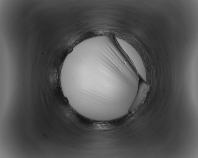 X0000082980372200703020302