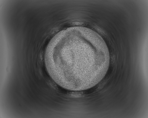 X0000082980373200703020302