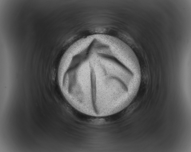 X0000082980374200703020302