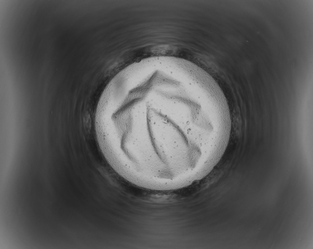 X0000082980375200703020302