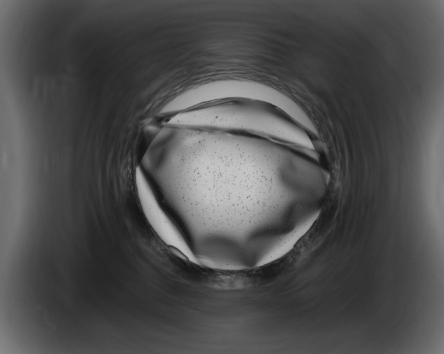 X0000082980376200703020302