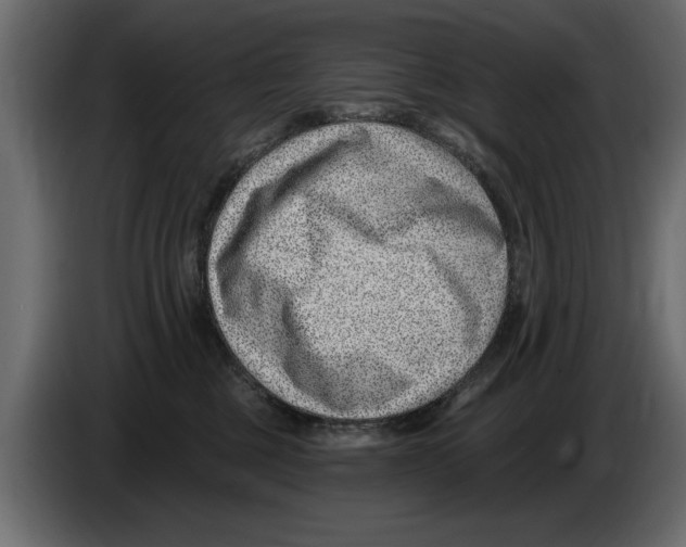 X0000082980377200703020302