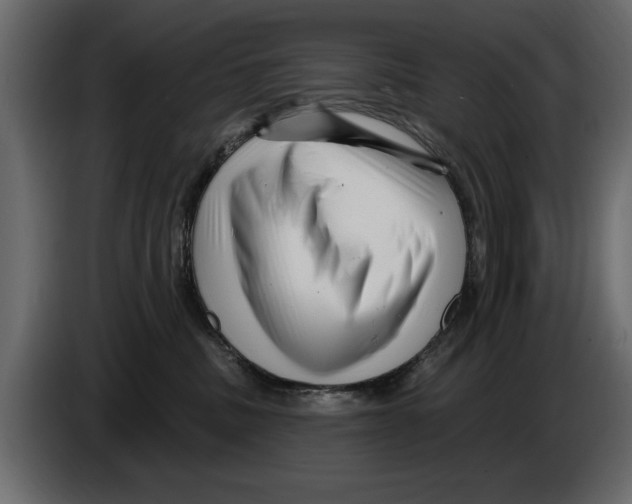 X0000082980379200703020302