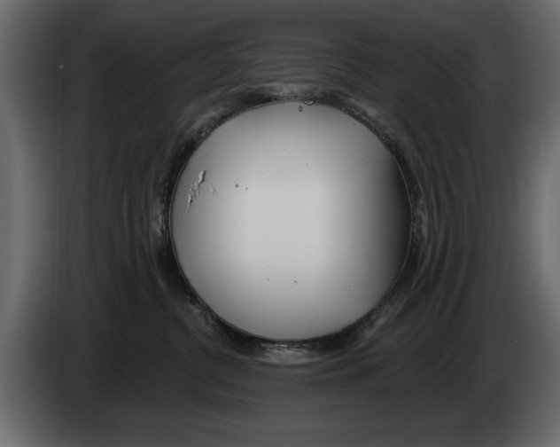 X0000082980380200703020302