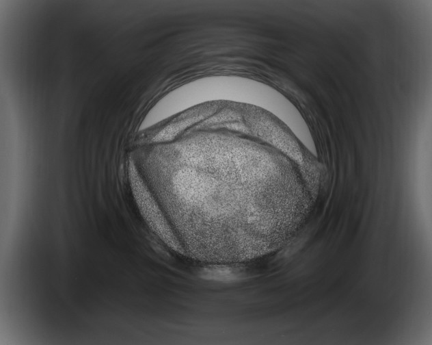 X0000082980381200703020302