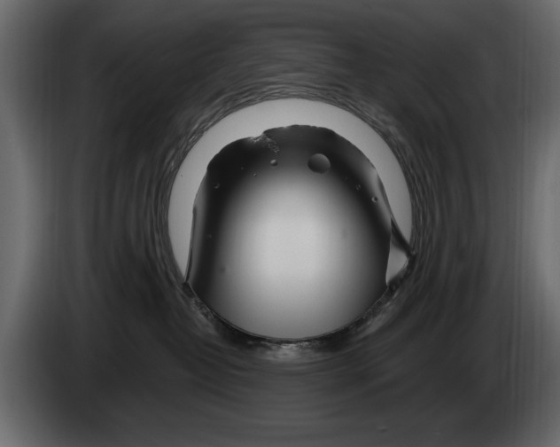 X0000082980382200703020302