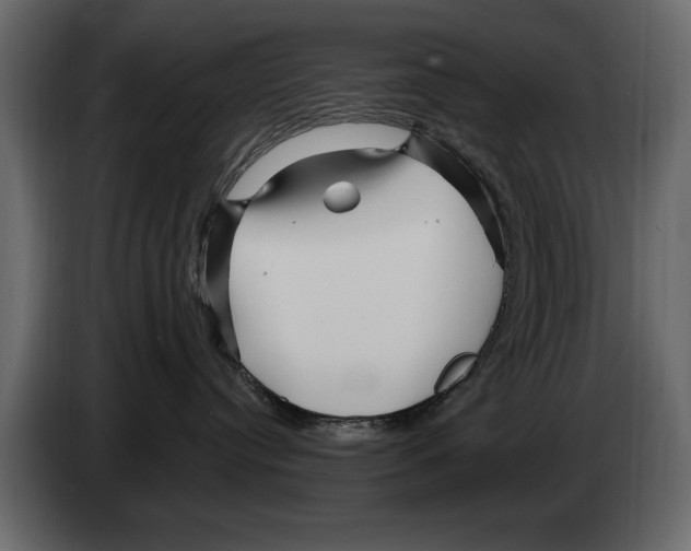 X0000082980384200703020302