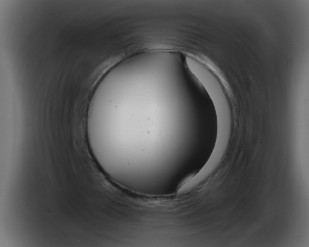 X0000082980385200703020301