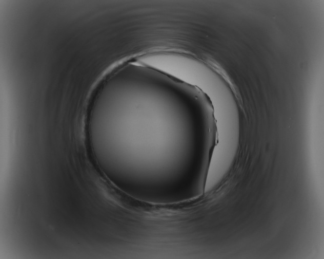 X0000082980387200703020301