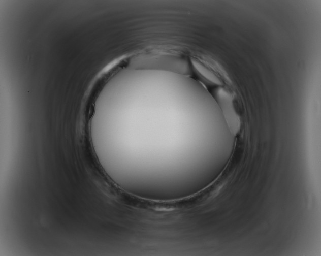 X0000082980388200703020301