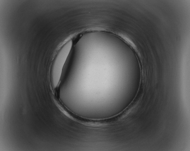 X0000082980389200703020301