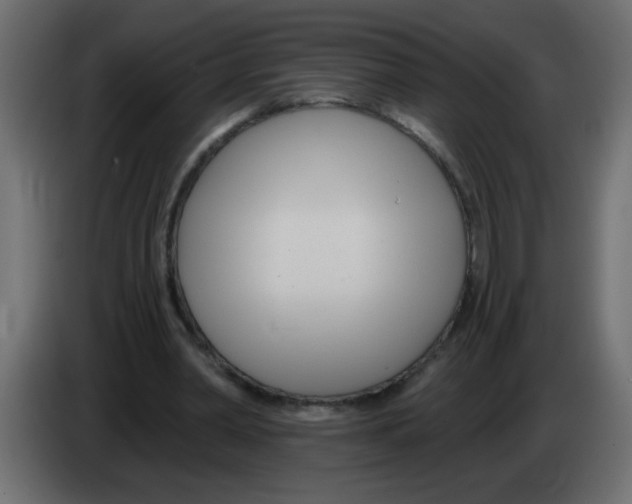 X0000082980390200703020301