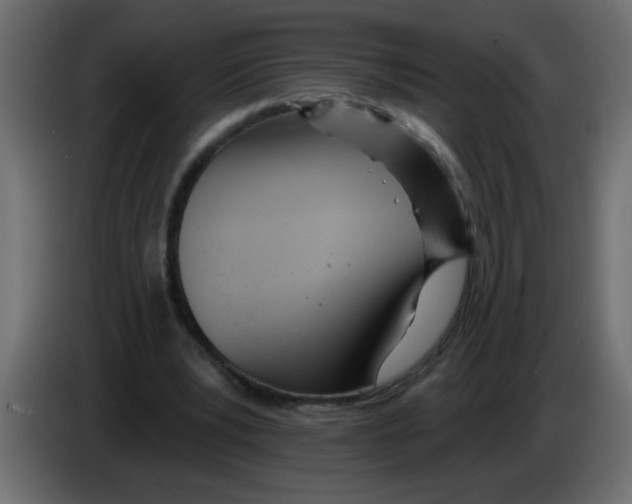 X0000082980391200703020301